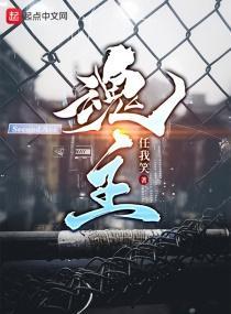 魂主的特殊装备契约