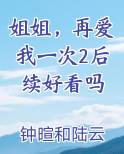 姐姐，再爱我一次2后续好看吗