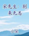 宋先生：别来无恙