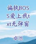 偏执BOSS爱上我txt无弹窗
