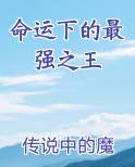 命运下的最强之王