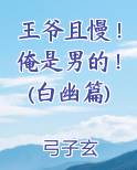 王爷且慢！俺是男的！(白幽篇)