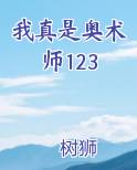 我真是奥术师 墺树狮 著