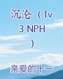 沉沦（1v3 NPH）