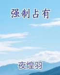 强制占有