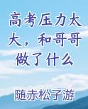 高考压力太大，和哥哥做了什么