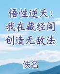 悟性逆天：我在藏经阁创造无敌法