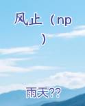 风止（np）
