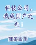 科技公司，我成国产之光！