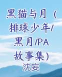 黑猫与月（排球少年/黑月/PA故事集）