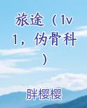 旅途（1v1，伪骨科）