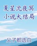 夏星沈夜冥小说大结局