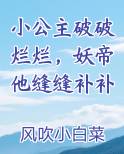 小公主破破烂烂，妖帝他缝缝补补