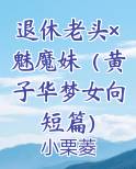 退休老头×魅魔妹（黄子华梦女向短篇）免费下载
