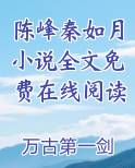 陈峰秦如月小说全文免费在线阅读