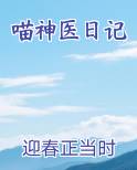 喵神医日记