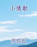 小情歌电子书