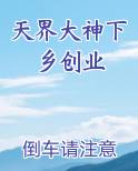 天界大神下乡创业