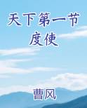 天下第一节度使