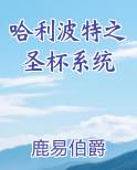 哈利波特之圣杯系统在线阅读全文