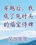 穿越后，我成了死对头的福宝侍婢