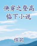 快穿之登高临下小说