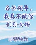 各位领导，我真不做你们孙女婿