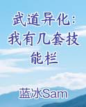 武道技能点
