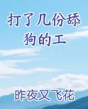 打了几份舔狗的工