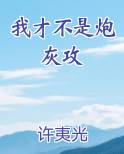 我才不是炮灰攻