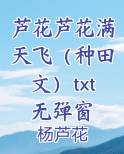 芦花芦花满天飞（种田文）txt无弹窗