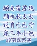 顾南霆苏娆顾机长太太说自己已守寡三年小说免费全文无删减阅读