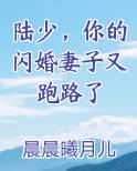 陆少，你的闪婚妻子又跑路了