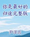 你是最好的归途完整版