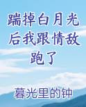 踹掉白月光后我跟情敌跑了